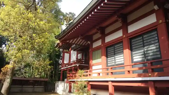 柏諏訪神社(千葉県)
