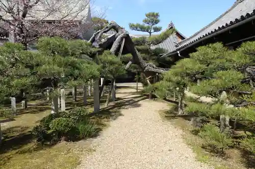 来迎寺の庭園