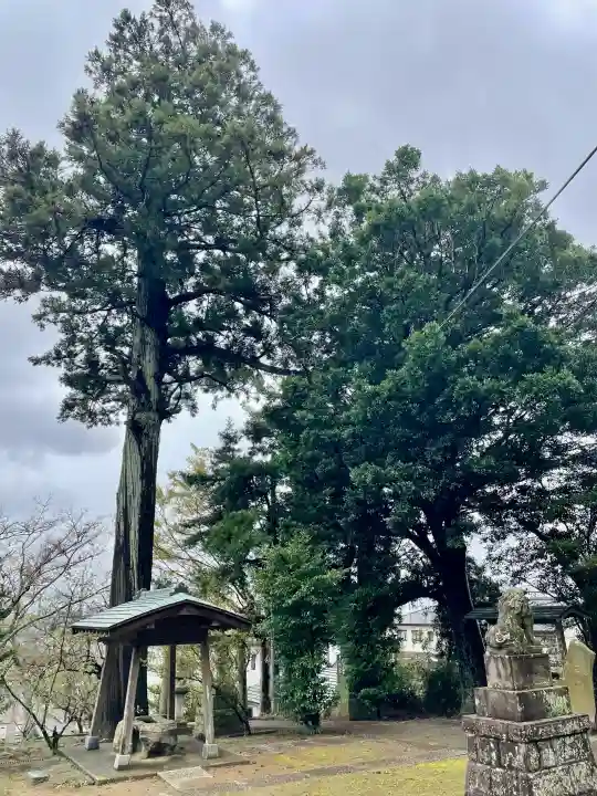 菅原神社の{uncategorized: "未分類", other: "その他", undefined: "問題あり", building: "その他建物", grave: "お墓", sacred_gate: "鳥居", guardian: "狛犬", statue: "像", buddha: "仏像", history: "歴史", nature: "自然", garden: "庭園", animal: "動物", pagoda: "塔", temizu: "手水舎", mountain_gate: "山門・神門", sanctuary: "本殿・本堂", subordinate: "末社・摂社", art: "芸術", scenery: "景色", jizo: "地蔵", ema: "絵馬", goshuin: "御朱印", omikuji: "おみくじ", items: "授与品その他", amulet: "お守り", goshuincho: "御朱印帳", eats: "食事", festival: "お祭り", votive_dance: "神楽", shichigosan: "七五三参", wedding: "結婚式", experience: "体験その他", initially: "初詣", around: "周辺", anti_infection: "感染症対策"}