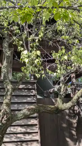 願行寺(京都府)