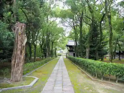 聖福寺のその他建物