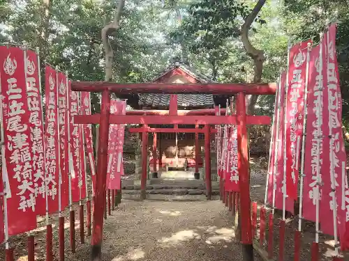 尾津神社（戸津）の鳥居