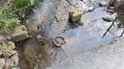 賀茂御祖神社（下鴨神社）(京都府)