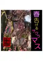 耕田院(山形県)