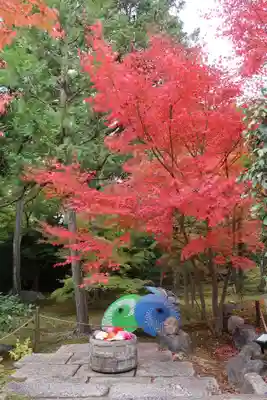 勝林寺(京都府)