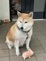 笠䅣稲荷神社(神奈川県)