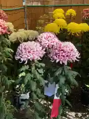 高麗神社の自然