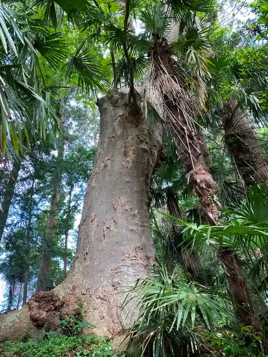 有賀神社の自然