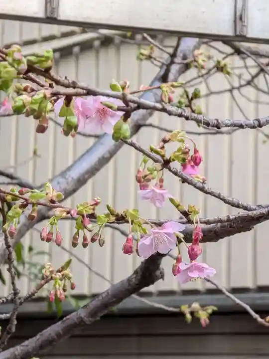 十番稲荷神社(東京都)