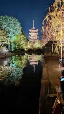 東寺（教王護国寺）(京都府)