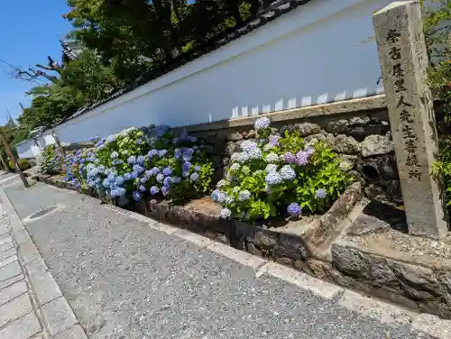 くろ谷 金戒光明寺(京都府)