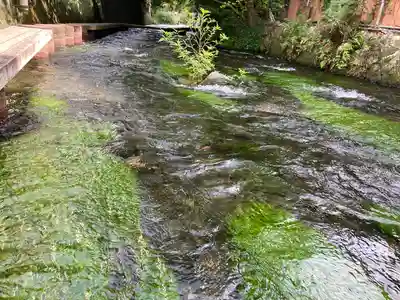 三嶋大社(静岡県)