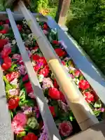 豊景神社の手水舎