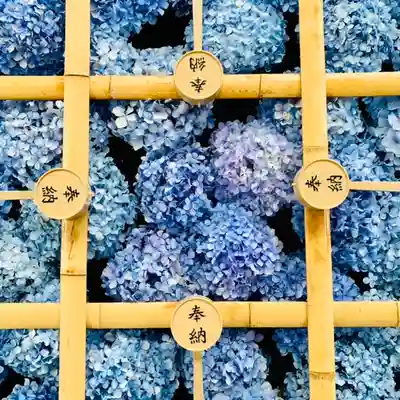 土津神社|こどもと出世の神さまの手水舎