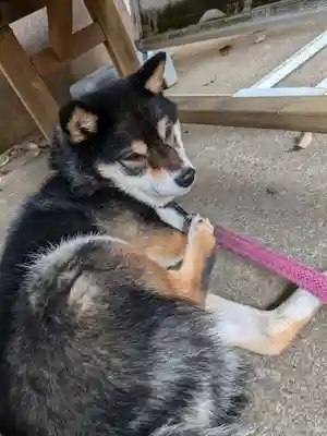 上目黒氷川神社(東京都)
