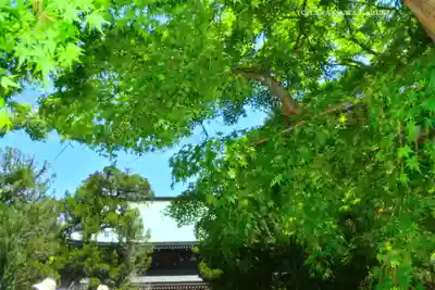 円覚寺(神奈川県)