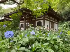 妙楽寺の建物その他