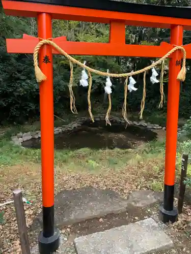 鷲宮神社の鳥居