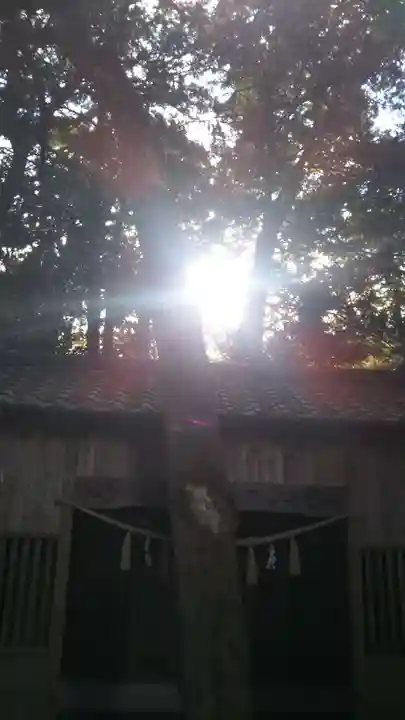 前玉神社のその他建物