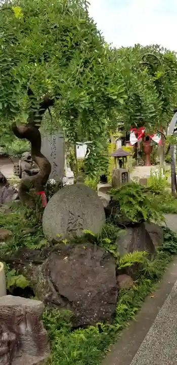 常泉寺のその他建物