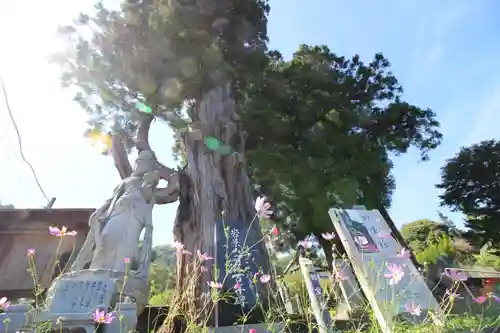 龍澤寺(群馬県)