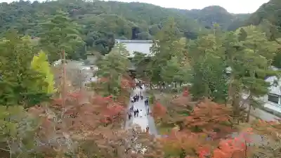 南禅寺の{uncategorized: "未分類", other: "その他", undefined: "問題あり", building: "その他建物", grave: "お墓", sacred_gate: "鳥居", guardian: "狛犬", statue: "像", buddha: "仏像", history: "歴史", nature: "自然", garden: "庭園", animal: "動物", pagoda: "塔", temizu: "手水舎", mountain_gate: "山門・神門", sanctuary: "本殿・本堂", subordinate: "末社・摂社", art: "芸術", scenery: "景色", jizo: "地蔵", ema: "絵馬", goshuin: "御朱印", omikuji: "おみくじ", items: "授与品その他", amulet: "お守り", goshuincho: "御朱印帳", eats: "食事", festival: "お祭り", votive_dance: "神楽", shichigosan: "七五三参", wedding: "結婚式", experience: "体験その他", initially: "初詣", around: "周辺", anti_infection: "感染症対策"}