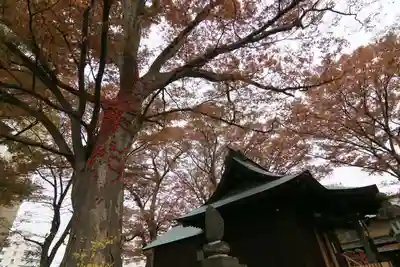 愛宕神社の本殿・本堂