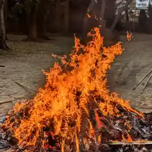三津厳島神社(愛媛県)(2023年01月16日(月) 23時21分41秒投稿)