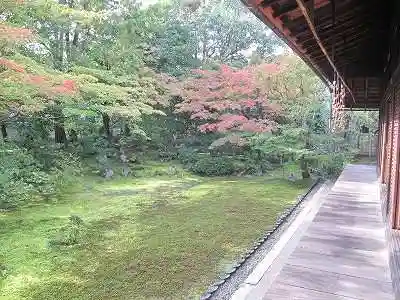 曇華院門跡(京都府)