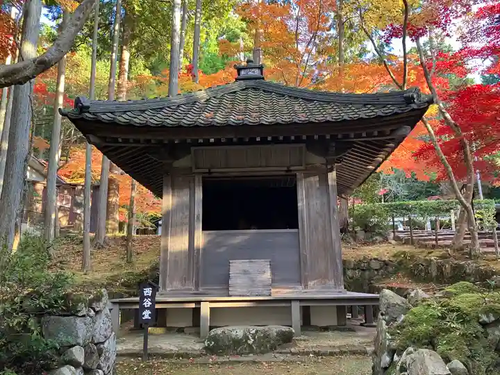 金剛輪寺(滋賀県)