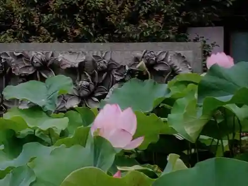長善寺(東京都)