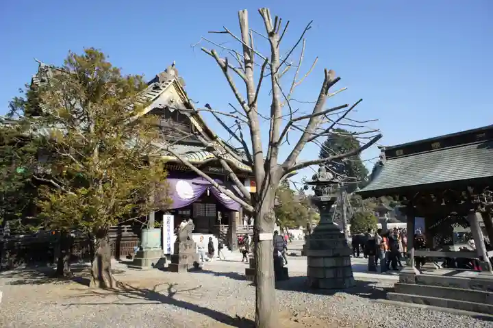成田山新勝寺(千葉県)