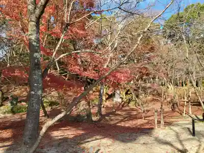 宝満宮竈門神社(福岡県)