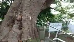 常陸第三宮　吉田神社の自然