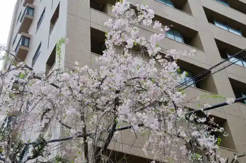 秋葉神社の自然