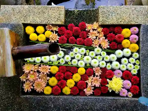  岳温泉神社 の手水