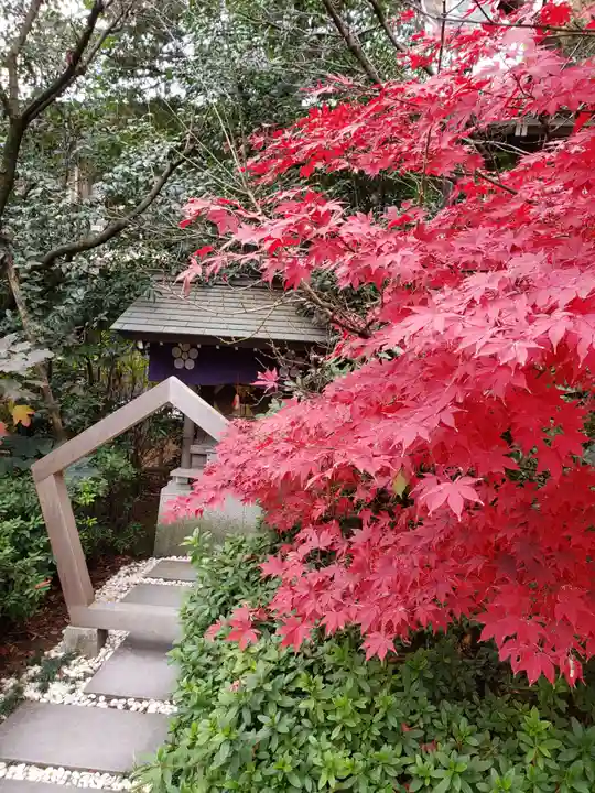 阿佐ヶ谷神明宮の自然