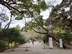 葛原岡神社(神奈川県)