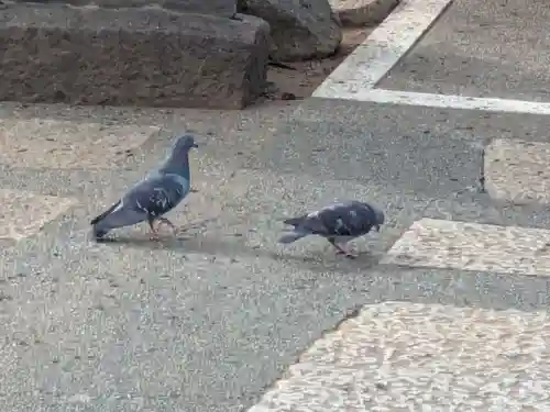 千手院(東京都)
