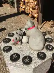 岩槻久伊豆神社の狛犬