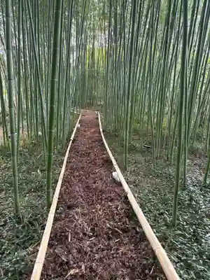 鹿王院(京都府)