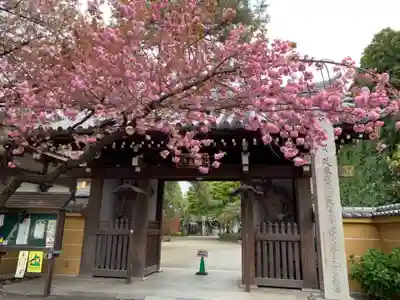 一乗院の山門・神門