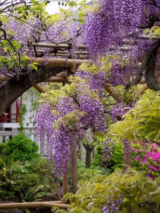 亀戸天神社(東京都)