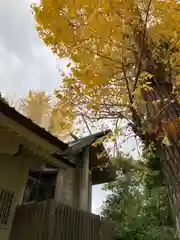 稗田神社の本殿