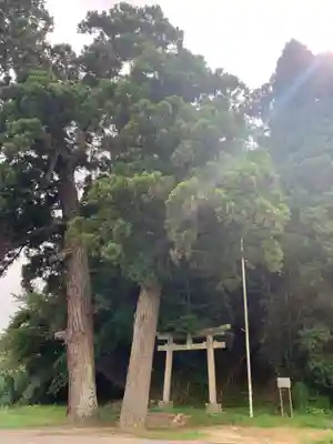 坂本神社(千葉県)