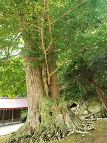 安房神社(千葉県)