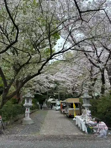前鳥神社の{uncategorized: "未分類", other: "その他", undefined: "問題あり", building: "その他建物", grave: "お墓", sacred_gate: "鳥居", guardian: "狛犬", statue: "像", buddha: "仏像", history: "歴史", nature: "自然", garden: "庭園", animal: "動物", pagoda: "塔", temizu: "手水舎", mountain_gate: "山門・神門", sanctuary: "本殿・本堂", subordinate: "末社・摂社", art: "芸術", scenery: "景色", jizo: "地蔵", ema: "絵馬", goshuin: "御朱印", omikuji: "おみくじ", items: "授与品その他", amulet: "お守り", goshuincho: "御朱印帳", eats: "食事", festival: "お祭り", votive_dance: "神楽", shichigosan: "七五三参", wedding: "結婚式", experience: "体験その他", initially: "初詣", around: "周辺", anti_infection: "感染症対策"}