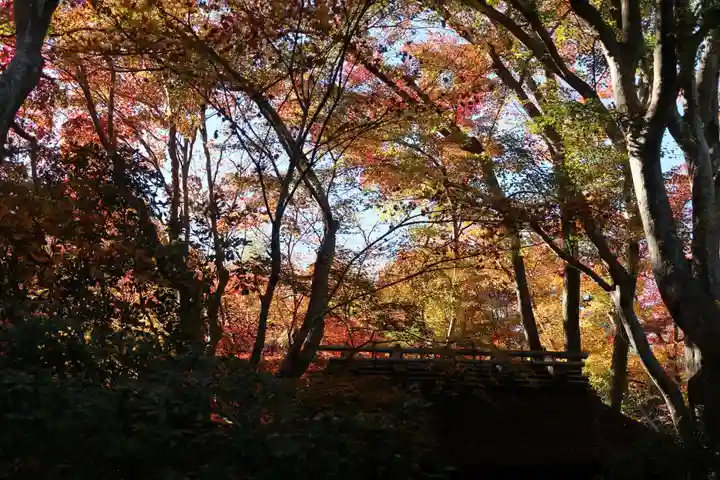 祇王寺(京都府)