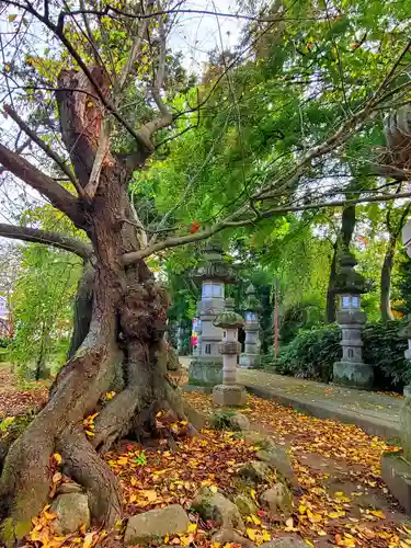 神炊館神社 ⁂奥州須賀川総鎮守⁂(福島県)