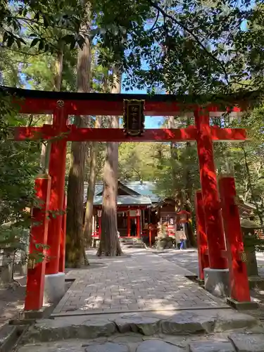 椿大神社の鳥居